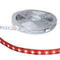  :   RUICHI, 5050, 300 LED, IP33, 12 ,  ,  5  (   1 )