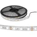  :   RUICHI, 5050, 300 LED, IP68, 12 ,   ,  5  (   1 )