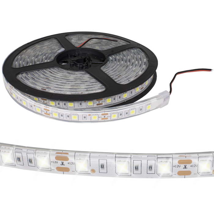   RUICHI, 5050, 300 LED, IP68, 12 ,   ,  5  (   1 )