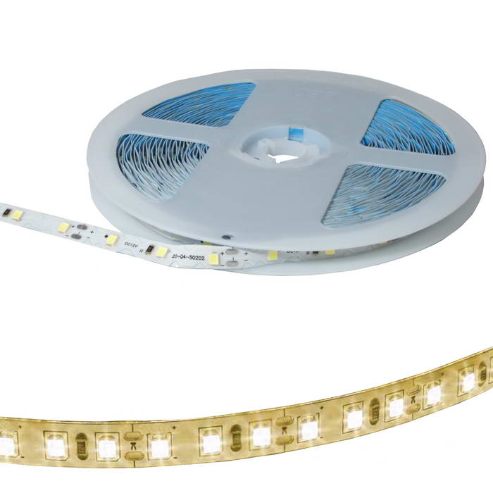   RUICHI, S-2835 300 LED, IP65, 12 ,   ,  5  (   1 )