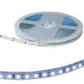  :   RUICHI, S-2835 300 LED, IP65, 12 ,   ,  5  (   1 )